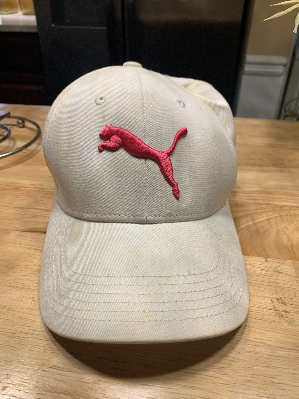 Puma hat